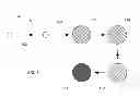 Fig. 02 - Hydrophilic polymeric particles and methods for making and using same