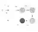 Fig. 02 - Hydrophilic polymeric particles and methods for making and using same