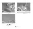 Fig. 03 - Oxygen scavenger system in a polyolefin matrix