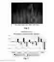 Fig. 03 - Biodegradable Polymer Blend