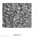Fig. 02 - CONTROLLED MORPHOLOGY HIGH ACTIVITY POLYOLEFIN CATALYST SYSTEM