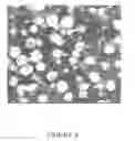 Fig. 05 - CONTROLLED MORPHOLOGY HIGH ACTIVITY POLYOLEFIN CATALYST SYSTEM