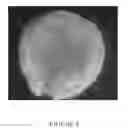 Fig. 09 - CONTROLLED MORPHOLOGY HIGH ACTIVITY POLYOLEFIN CATALYST SYSTEM
