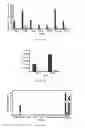 Fig. 10 - PSMA binding ligand-linker conjugates and methods for using