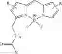Fig. 65 - PSMA binding ligand-linker conjugates and methods for using