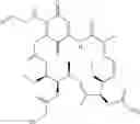 Fig. 231 - CONJUGATES COMPRISING HYDROXYALKYL STARCH AND A CYTOTOXIC AGENT AND PROCESS FOR THEIR PREPARATION