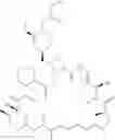 Fig. 232 - CONJUGATES COMPRISING HYDROXYALKYL STARCH AND A CYTOTOXIC AGENT AND PROCESS FOR THEIR PREPARATION