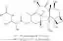 Fig. 34 - CONJUGATES COMPRISING HYDROXYALKYL STARCH AND A CYTOTOXIC AGENT AND PROCESS FOR THEIR PREPARATION