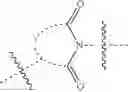 Fig. 40 - CONJUGATES COMPRISING HYDROXYALKYL STARCH AND A CYTOTOXIC AGENT AND PROCESS FOR THEIR PREPARATION