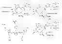 Fig. 01 - Multimeric dual-modality breast cancer diagnostic agents