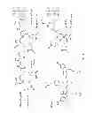 Fig. 06 - Multimeric dual-modality breast cancer diagnostic agents