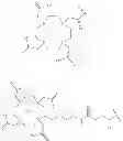 Fig. 16 - Multimeric dual-modality breast cancer diagnostic agents