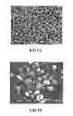 Fig. 02 - Process for obtaining a charge of hexanitrohexaazaisowurtzitane crystals having a rounded morphology; charge and corresponding energetic material