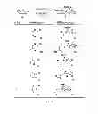 Fig. 04 - Methods for forming protected organoboronic acids