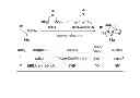 Fig. 07 - Methods for forming protected organoboronic acids