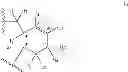 Fig. 06 - Cyclohexenyl nucleic acids analogs