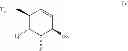 Fig. 08 - Cyclohexenyl nucleic acids analogs
