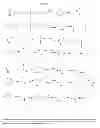 Fig. 124 - Biological buffers with wide buffering ranges