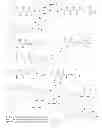 Fig. 129 - Biological buffers with wide buffering ranges