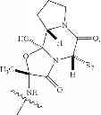 Fig. 22 - Fluoroergoline analogs