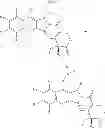 Fig. 06 - Germanium-containing camptothecin analogues