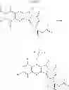 Fig. 07 - Germanium-containing camptothecin analogues
