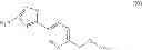 Fig. 03 - Processes for the preparation of 2-fluoro 6-11 bicyclic erythromycin derivatives