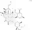 Fig. 19 - Processes for the preparation of 2-fluoro 6-11 bicyclic erythromycin derivatives