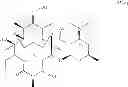 Fig. 22 - Processes for the preparation of 2-fluoro 6-11 bicyclic erythromycin derivatives