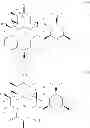 Fig. 24 - Processes for the preparation of 2-fluoro 6-11 bicyclic erythromycin derivatives