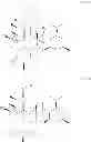 Fig. 28 - Processes for the preparation of 2-fluoro 6-11 bicyclic erythromycin derivatives