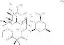 Fig. 33 - Processes for the preparation of 2-fluoro 6-11 bicyclic erythromycin derivatives