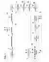 Fig. 02 - Processes for preparation of oil compositions