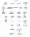 Fig. 08 - Compositions and methods for converting hazardous waste glass into non-hazardous products