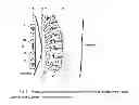 Fig. 06 - SYSTEMS AND METHODS FOR PROMOTING BONE GROWTH UTILIZING AN AUTOMATICALLY ADJUSTABLE, PROGRAMMABLE COMBINED MAGNETIC FIELD THERAPY