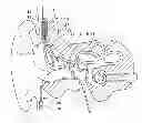 Fig. 01 - Implantable microphone