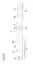 Fig. 16 - Catheter with imaging assembly with placement aid and related methods therefor