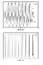 Fig. 48 - METHODS AND SYSTEMS FOR DETERMINING PHYSIOLOGICAL INFORMATION USING MODULATED SIGNALS