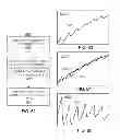 Fig. 41 - METHODS AND SYSTEMS FOR DETERMINING PHYSIOLOGICAL INFORMATION BASED ON FAST START PARAMETERS