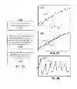 Fig. 41 - METHODS AND SYSTEMS FOR DETERMINING PHYSIOLOGICAL INFORMATION BASED ON A PEAK OF A CROSS-CORRELATION