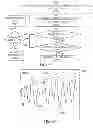Fig. 55 - METHODS AND SYSTEMS FOR DETERMINING NOISE INFORMATION FROM A PHYSIOLOGICAL SIGNAL