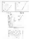 Fig. 72 - METHODS AND SYSTEMS FOR DETERMINING NOISE INFORMATION FROM A PHYSIOLOGICAL SIGNAL
