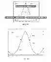 Fig. 47 - METHODS AND SYSTEMS FOR DETERMINING PHYSIOLOGICAL INFORMATION USING AUTOCORRELATION AND AN ENVELOPE TECHNIQUE