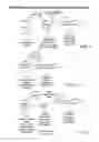 Fig. 05 - Devices, Methods and Systems for Acquiring Medical Diagnostic Information and Provision of Telehealth Services