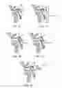 Fig. 08 - Devices, Methods and Systems for Acquiring Medical Diagnostic Information and Provision of Telehealth Services