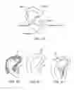 Fig. 10 - Devices, Methods and Systems for Acquiring Medical Diagnostic Information and Provision of Telehealth Services