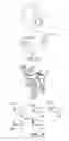 Fig. 12 - Devices, Methods and Systems for Acquiring Medical Diagnostic Information and Provision of Telehealth Services