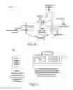 Fig. 15 - Devices, Methods and Systems for Acquiring Medical Diagnostic Information and Provision of Telehealth Services
