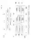 Fig. 07 - CLINICAL DIAGNOSIS OBJECTS AUTHORING