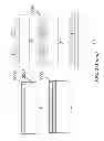 Fig. 06 - APPARATUS FOR DETECTING TUMOR CELLS